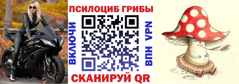 Псилоцибиновые грибы Magic Shrooms  закладки  Белозерск 